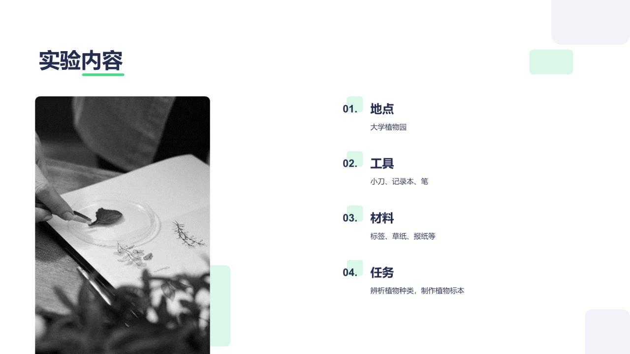 绿色创意植物标本制作实验报告PPT案例