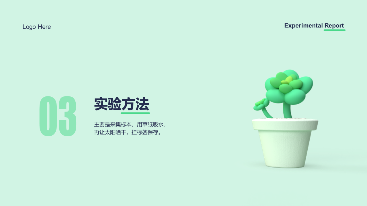 绿色创意植物标本制作实验报告PPT案例