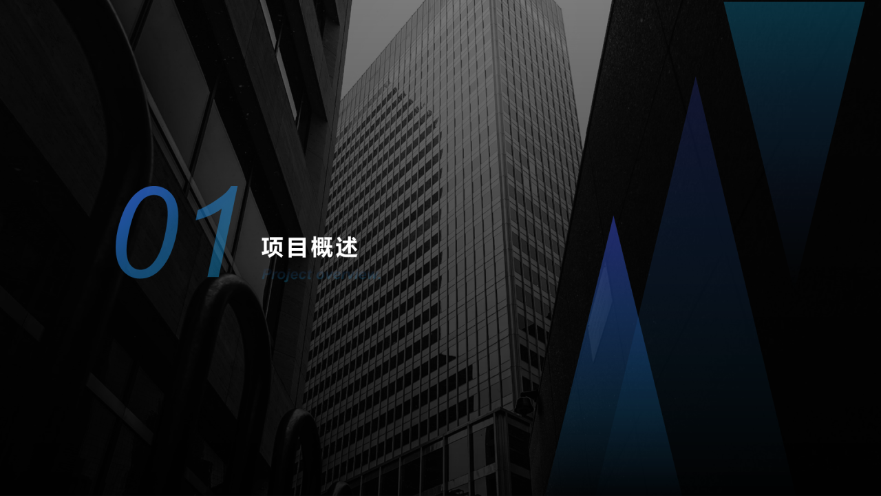 黑色简约商业融资计划PPT主题