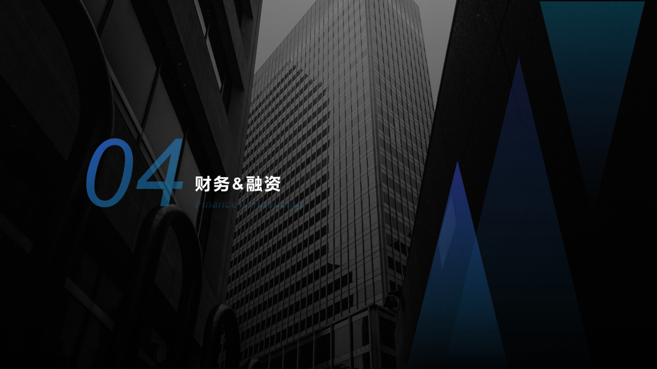 黑色简约商业融资计划PPT主题