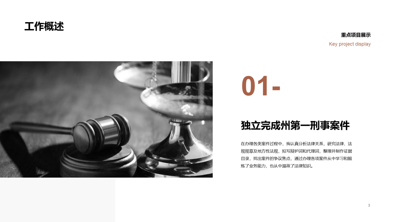 棕色商务法律行业述职报告PPT案例