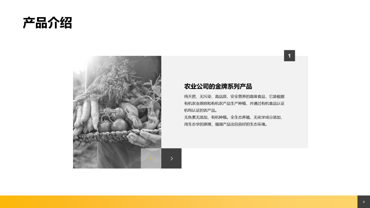 黄色创意食品健康产品手册PPT案例