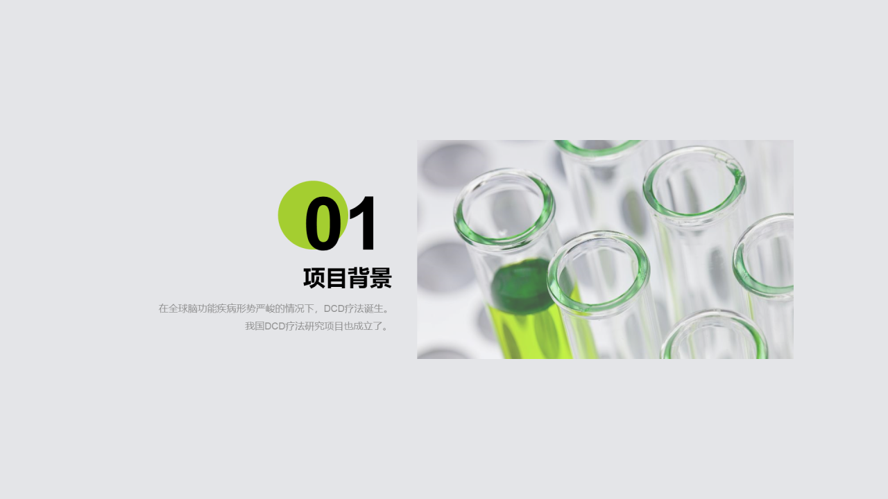 灰色商务医疗药物PPT案例