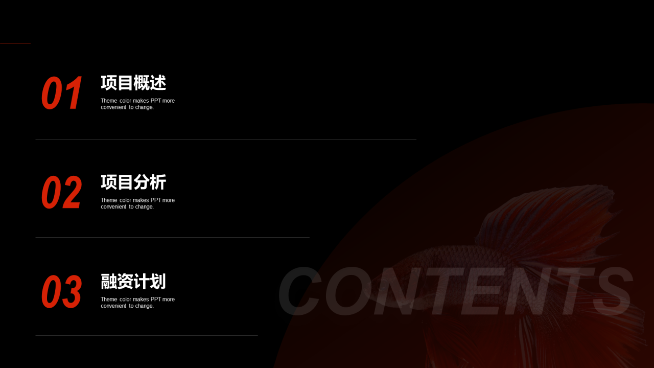 黑色商务项目商业计划书PPT案例