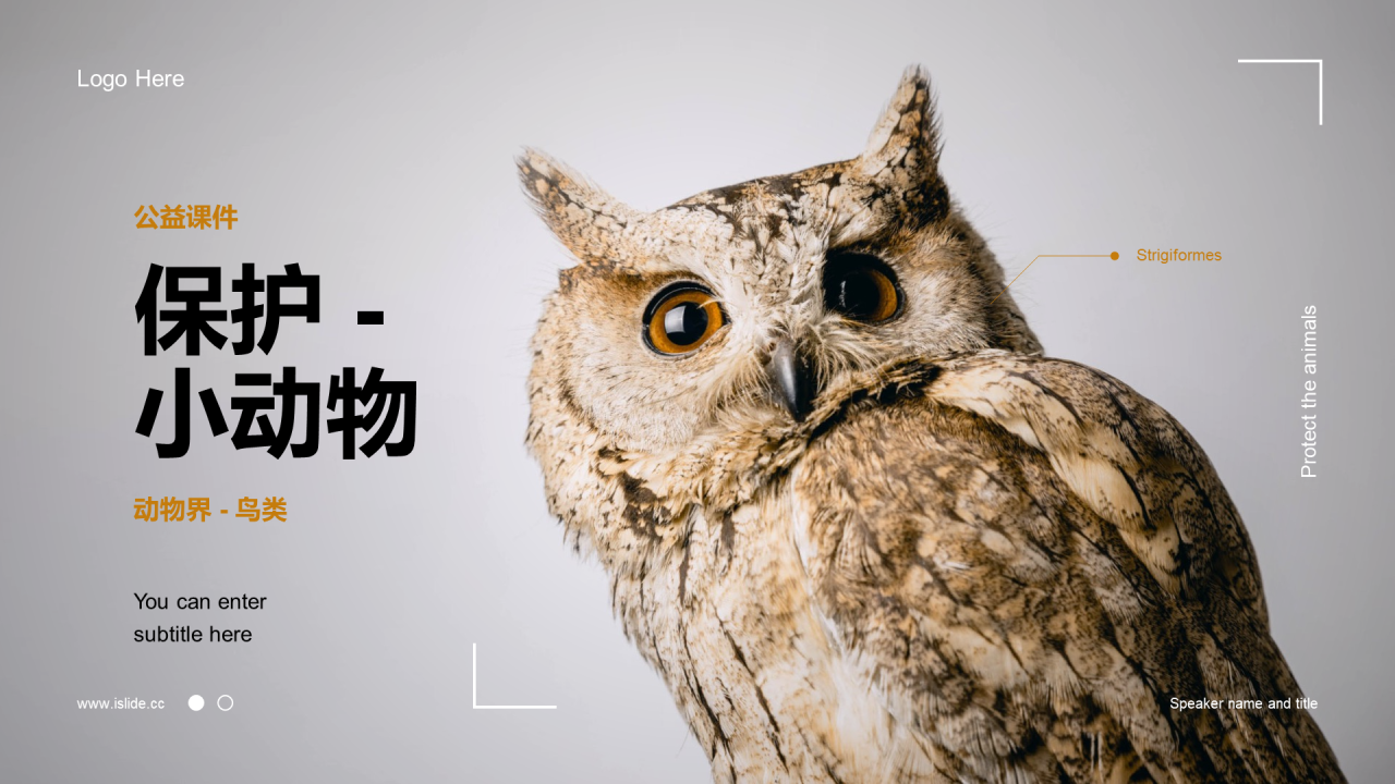 灰色商务公益课件培训PPT案例