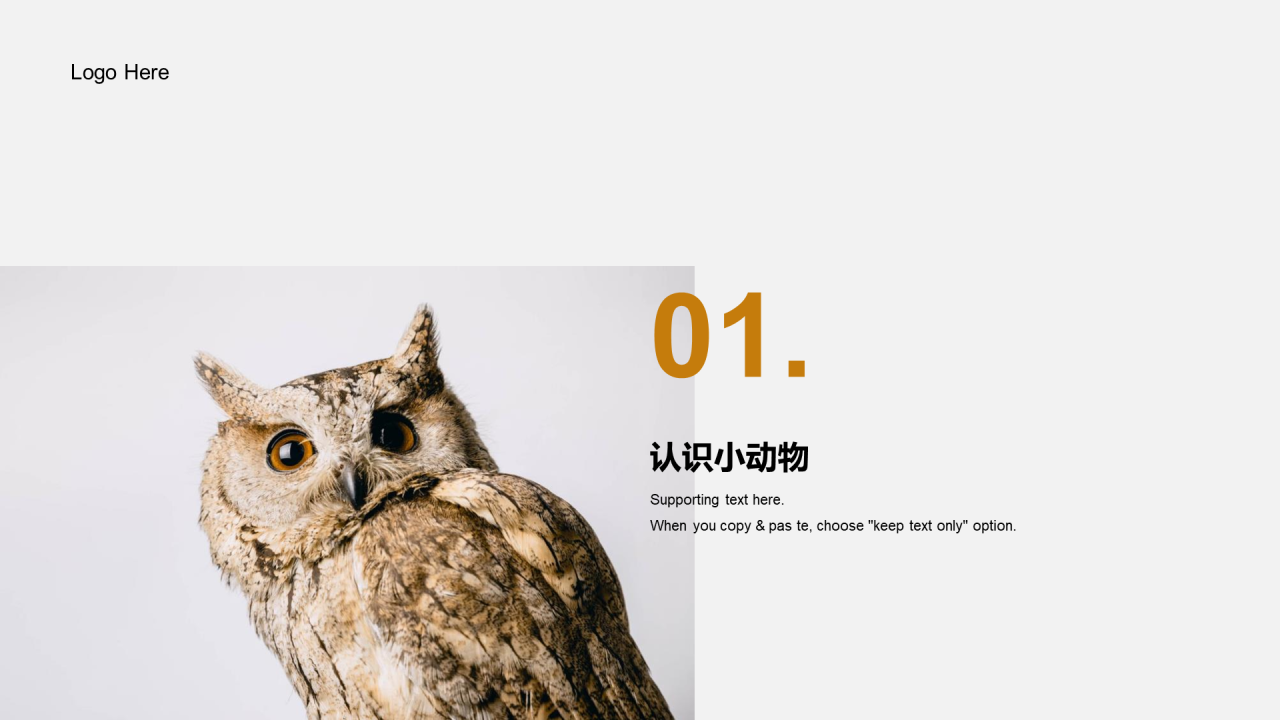 灰色商务公益课件培训PPT案例