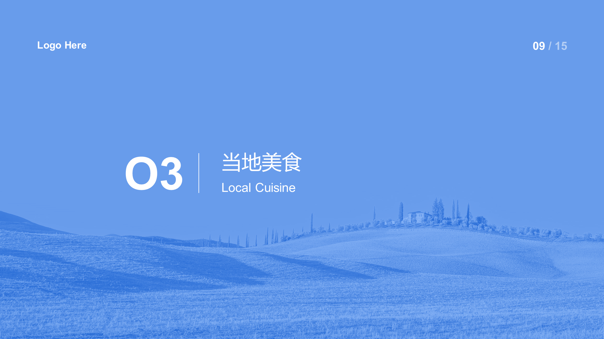 Blue Travel Paddy Field Natural Scenery Marketing Typical Marketing Case Analysis PPT Template