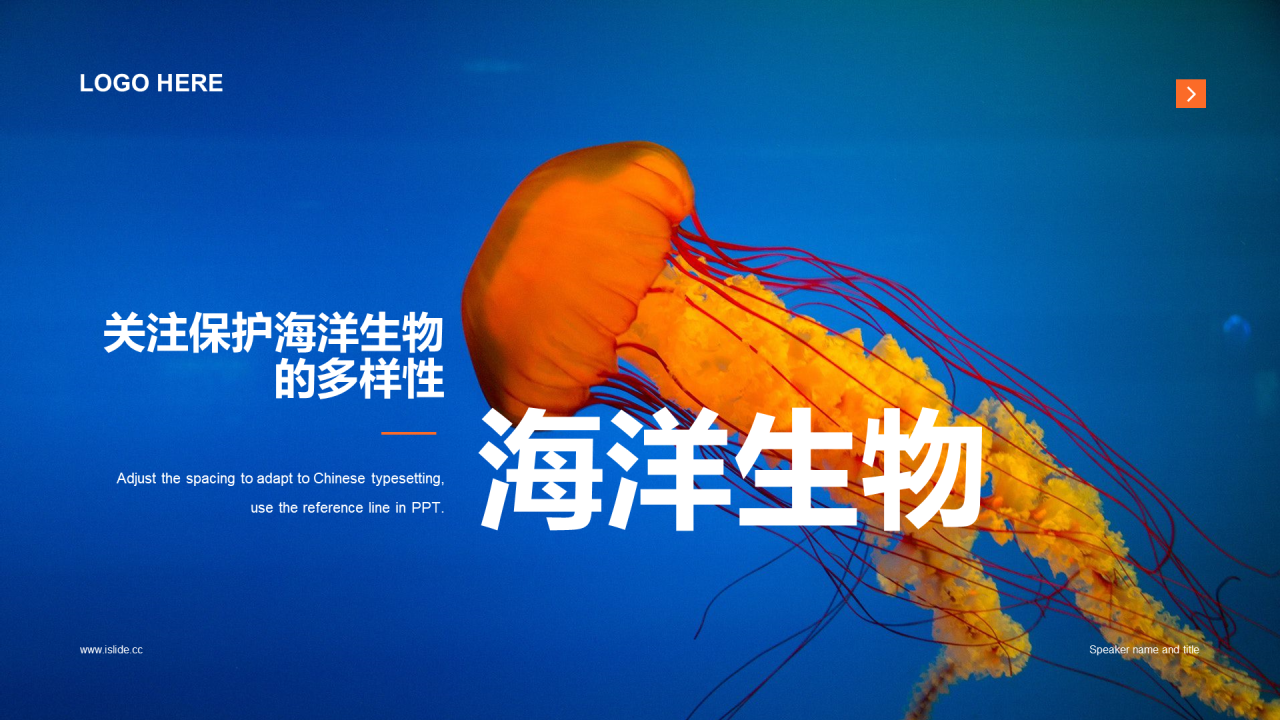 蓝色插画海洋生物多样性课件培训PPT案例