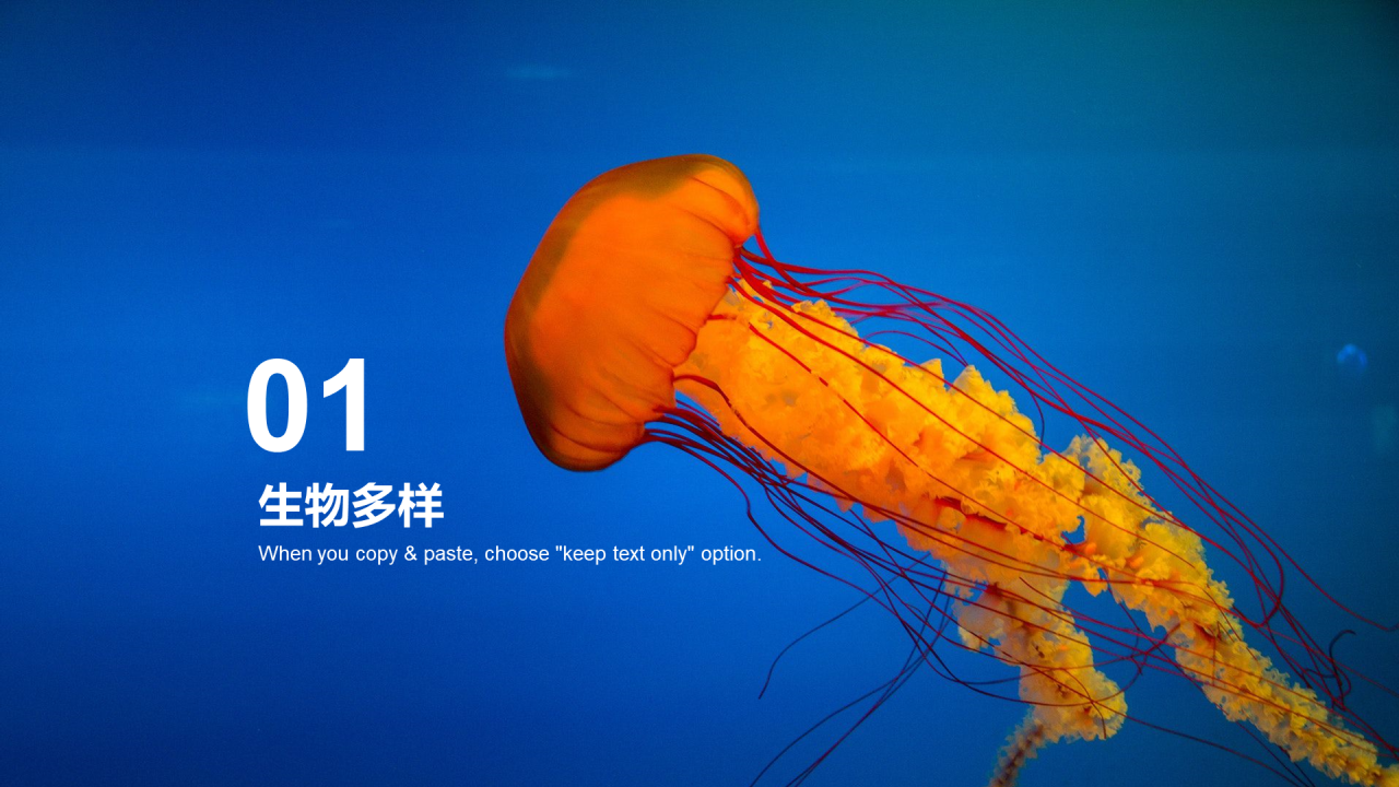 蓝色插画海洋生物多样性课件培训PPT案例