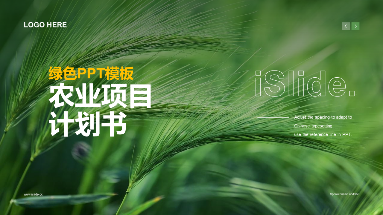 绿色商务农业生产商业计划书PPT案例