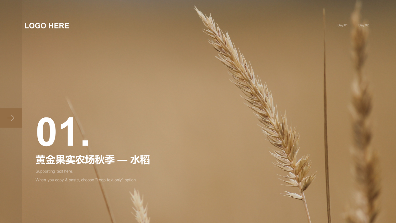 棕色农业绿色健康生产行业PPT素材下载