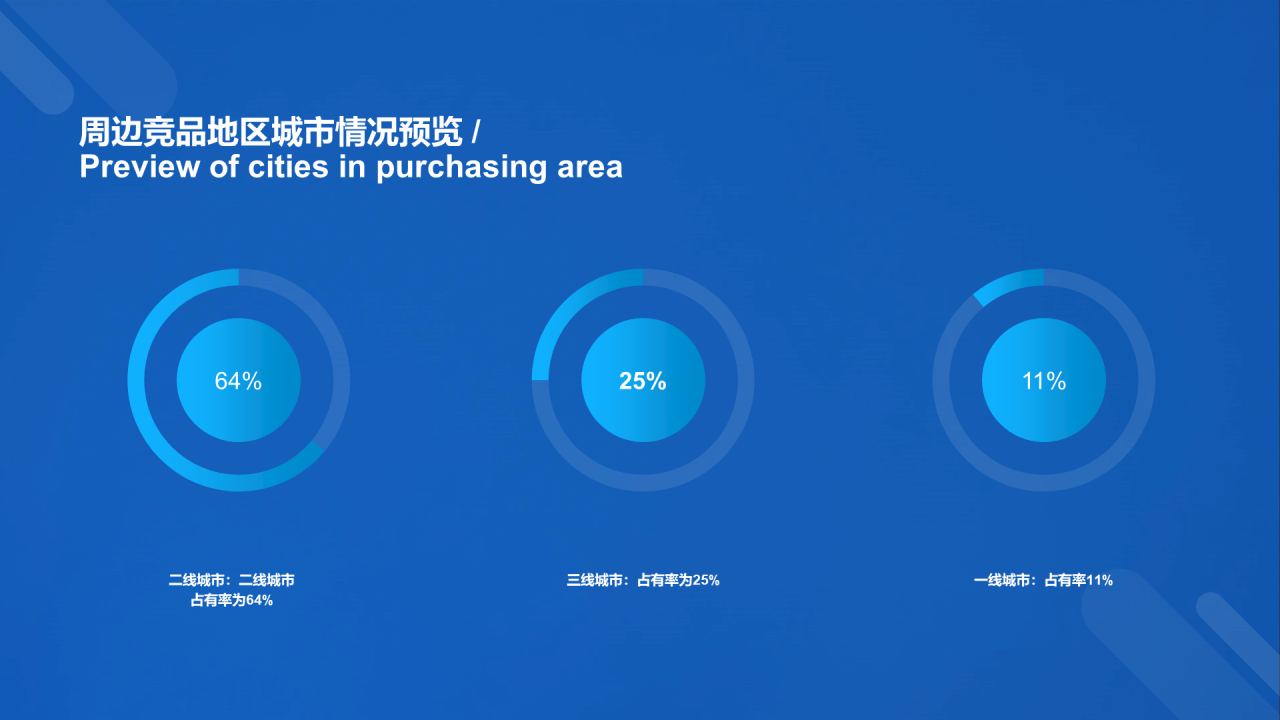 蓝色科技二级城市市场营销状况年度总结PPT案例