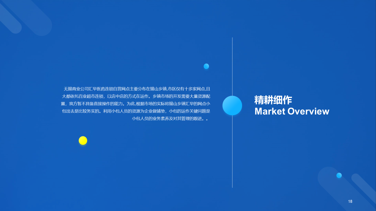 蓝色科技二级城市市场营销状况年度总结PPT案例