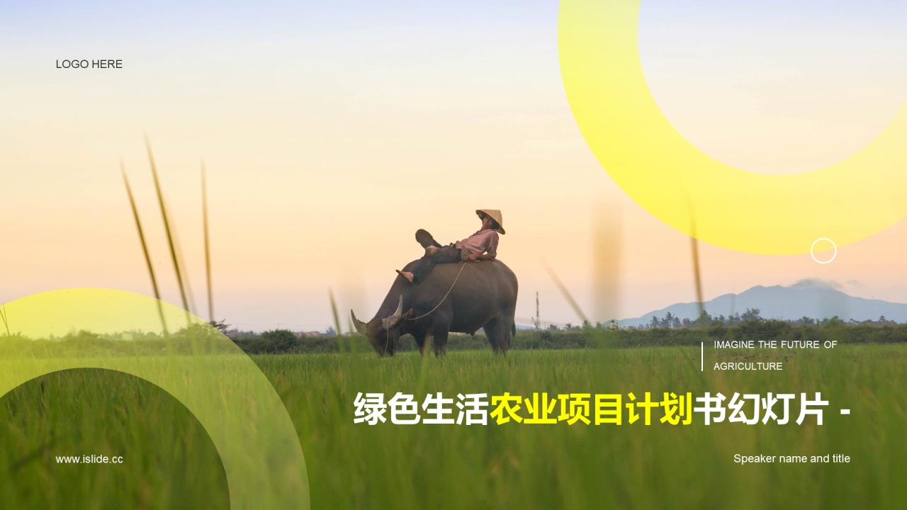 绿色简约农业项目计划书PPT案例