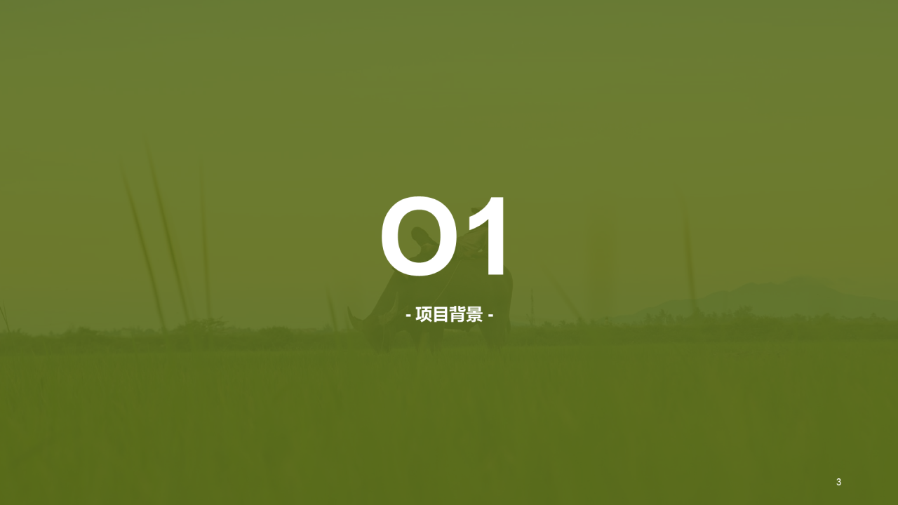 绿色简约农业项目计划书PPT案例