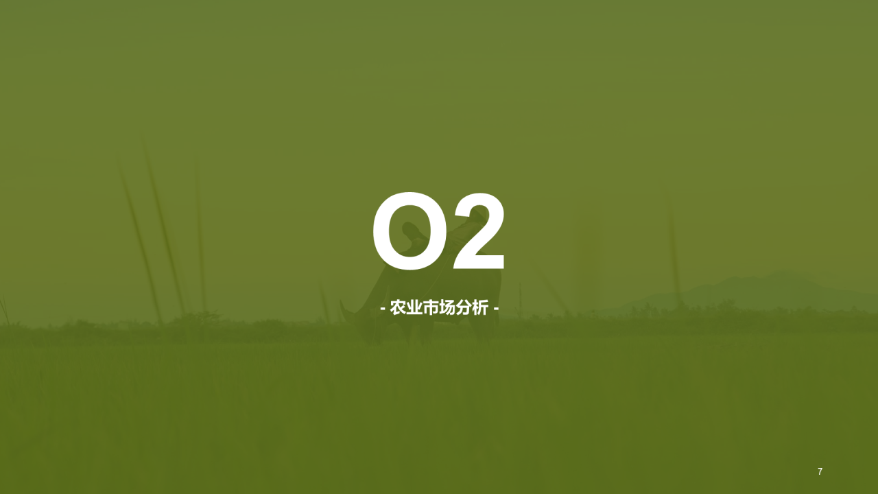 绿色简约农业项目计划书PPT案例