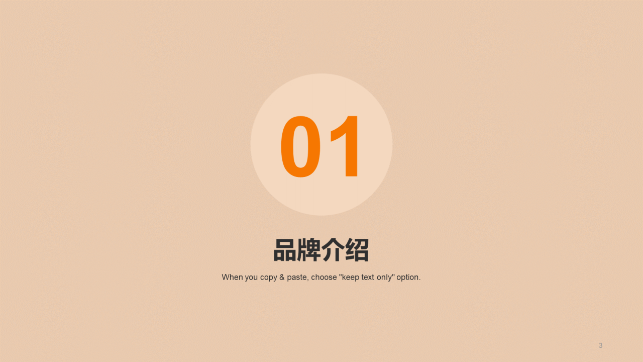 灰橙商务服装时尚市场营销PPT案例