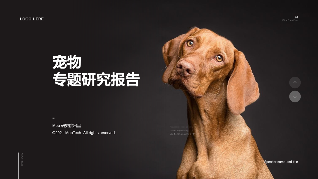 黑色插画宠物行业发展研究报告