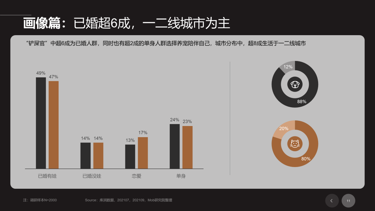 黑色插画宠物行业发展研究报告