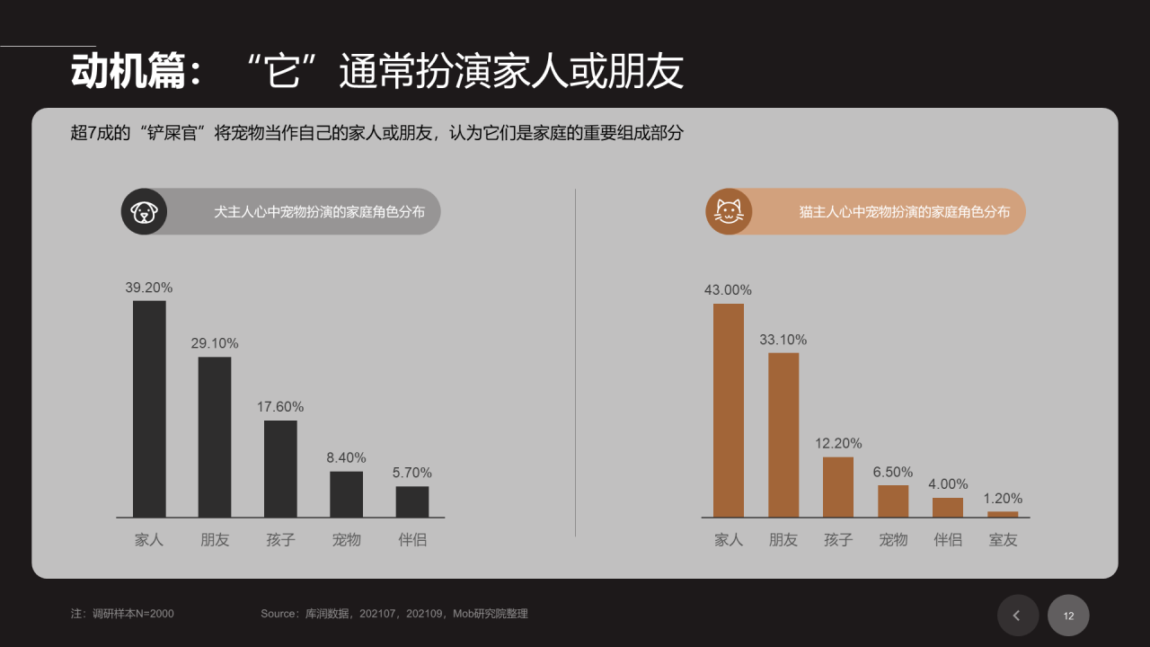 黑色插画宠物行业发展研究报告