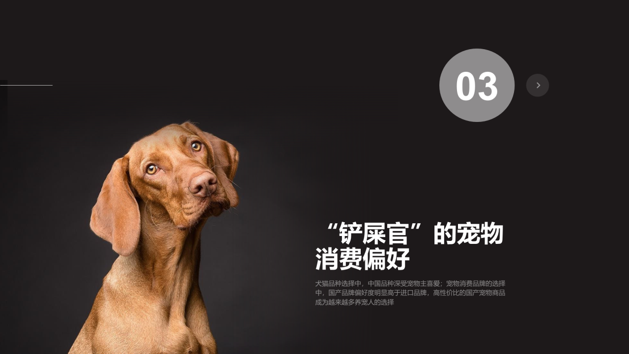 黑色插画宠物行业发展研究报告