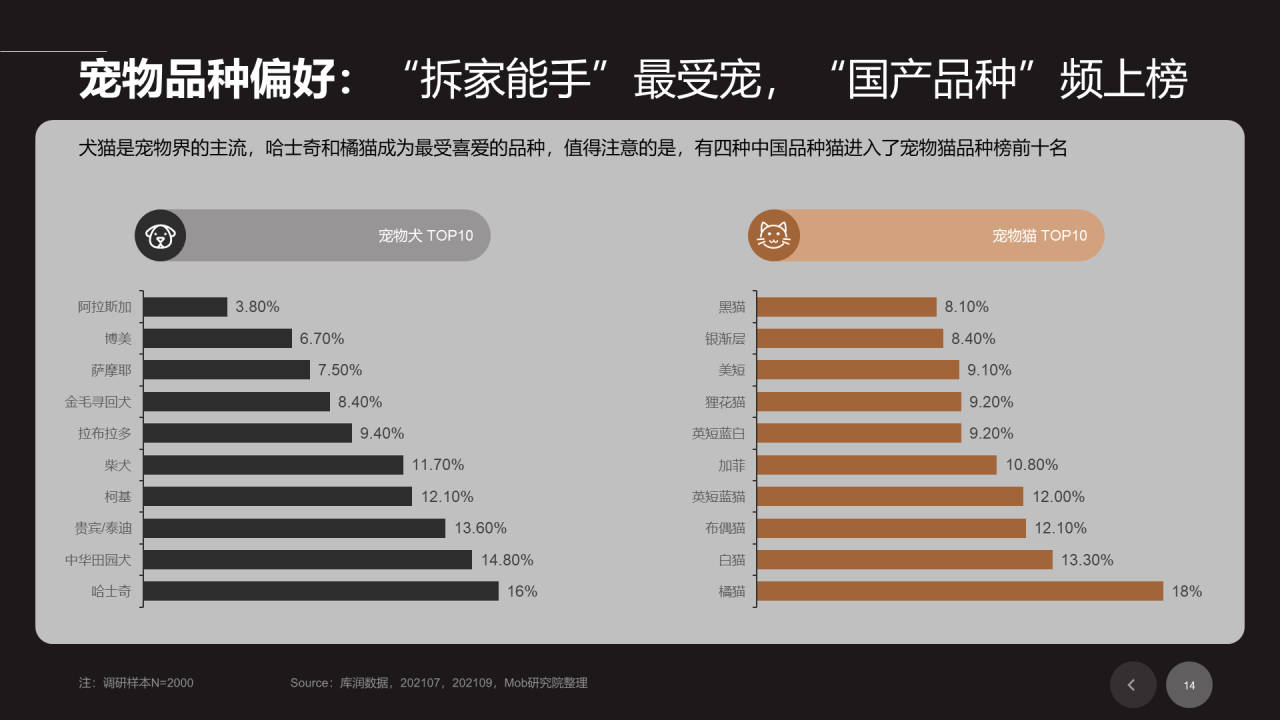 黑色插画宠物行业发展研究报告