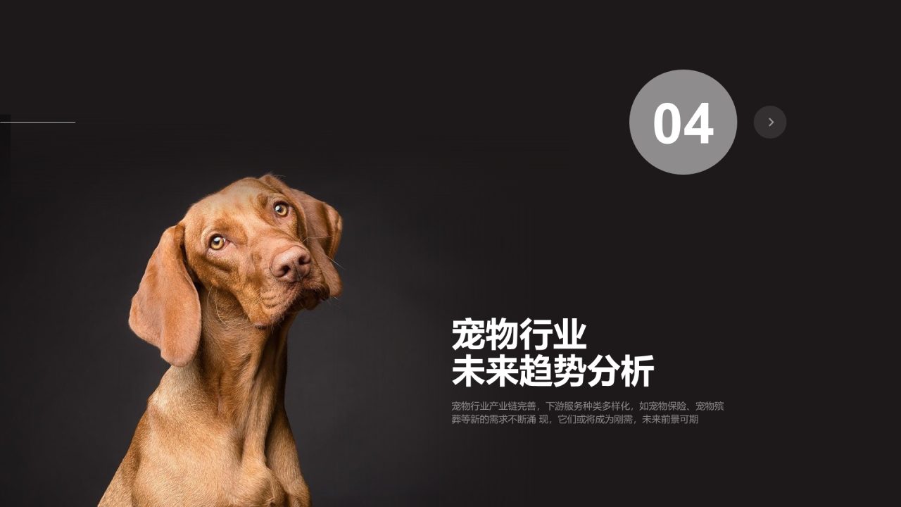 黑色插画宠物行业发展研究报告