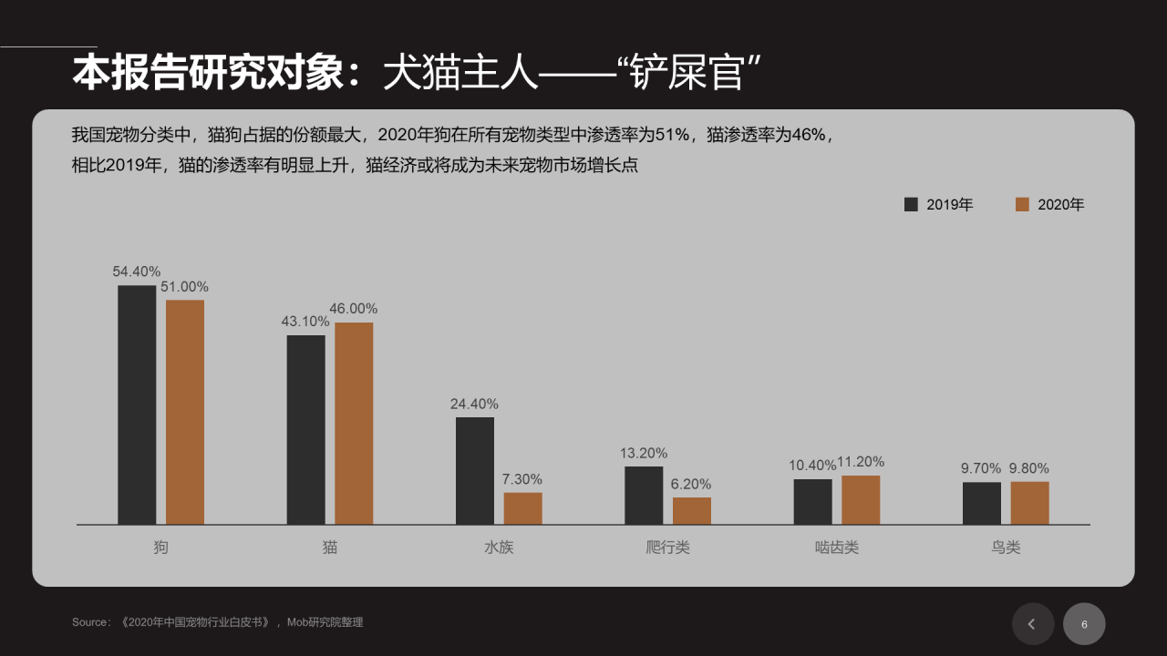黑色插画宠物行业发展研究报告