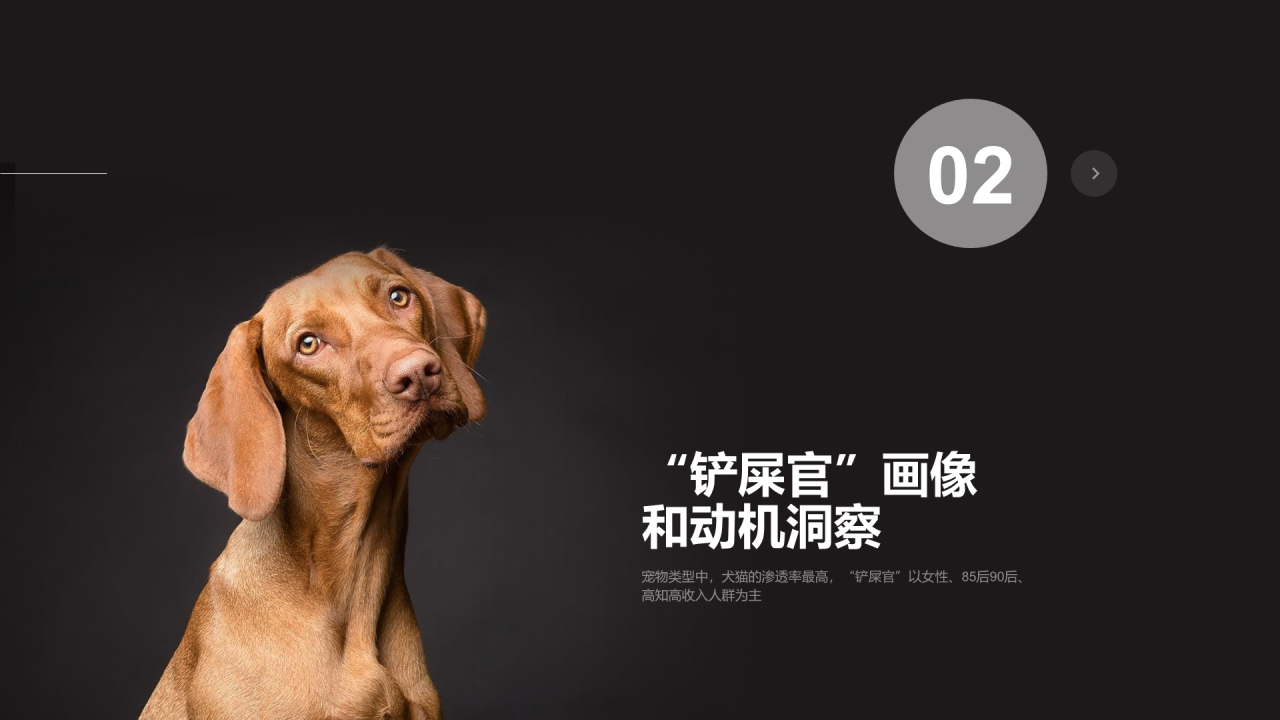 黑色插画宠物行业发展研究报告
