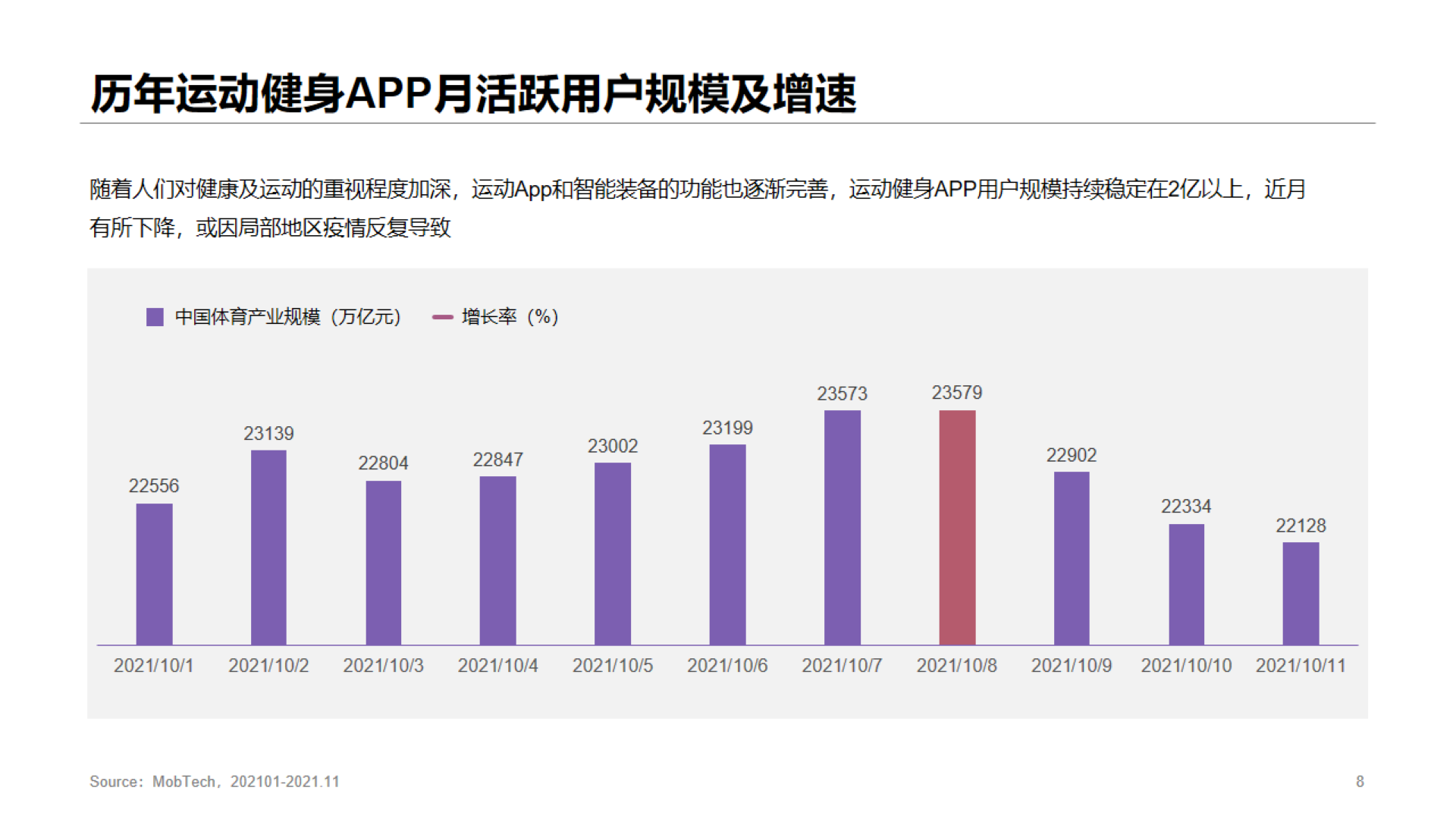 灰色商务体育运动研究报告PPT案例