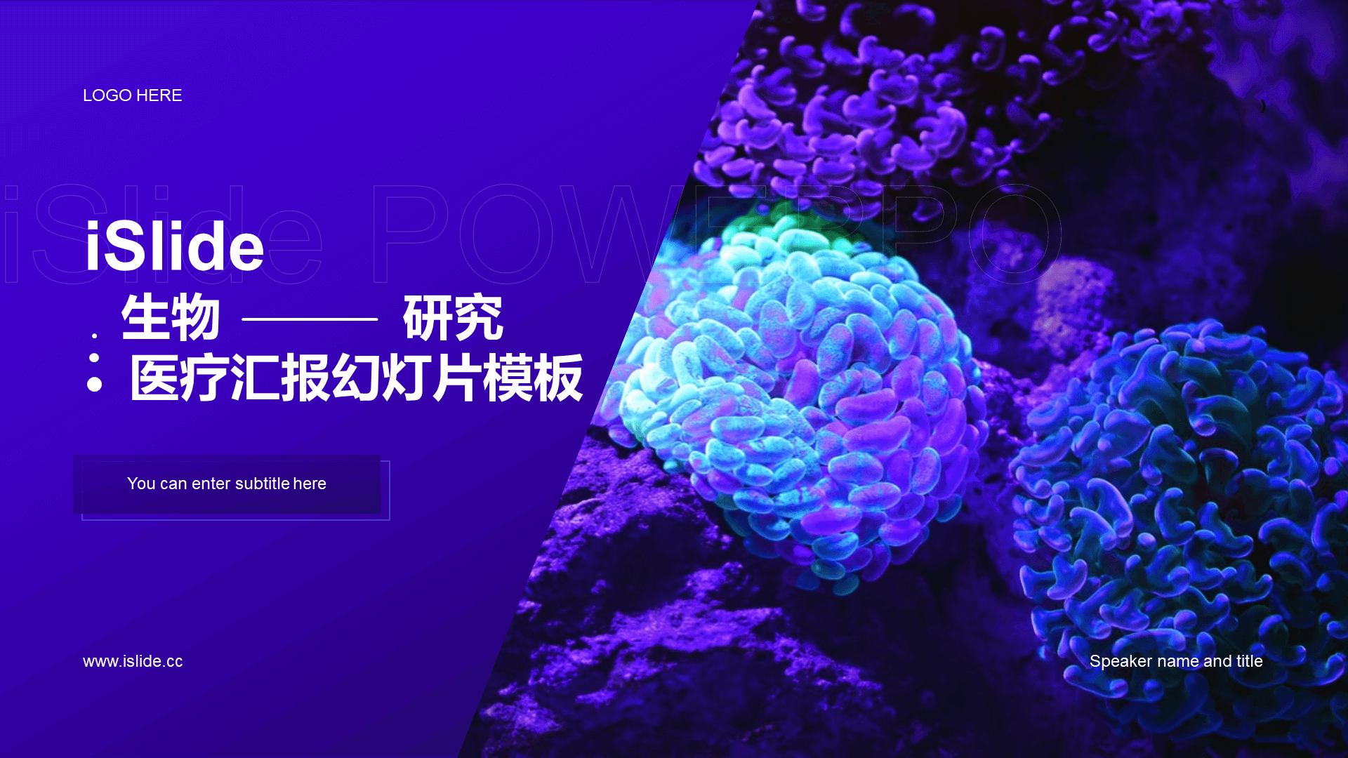 紫色商务现代生物研究医疗汇报PPT案例