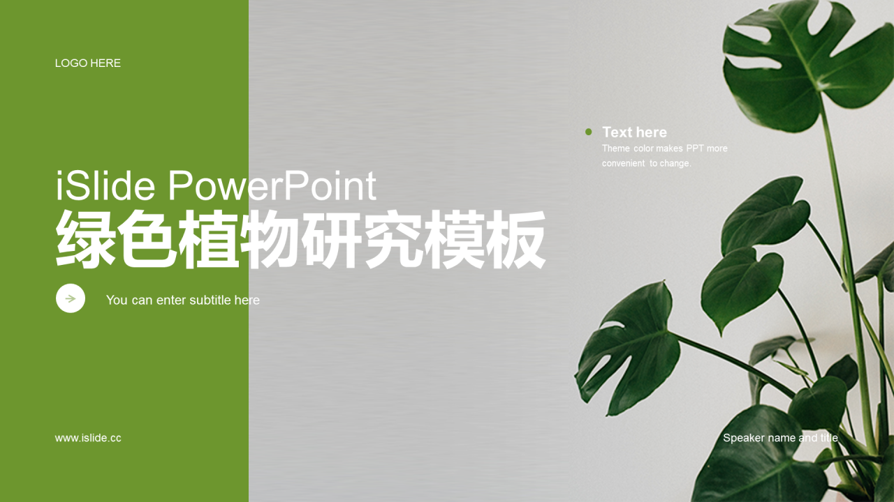 绿色商务现代植物研究PPT案例
