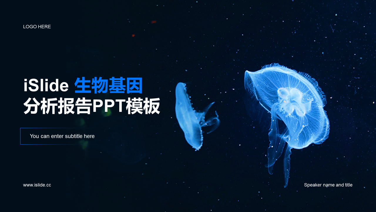 蓝色商务现代生物研究报告PPT案例