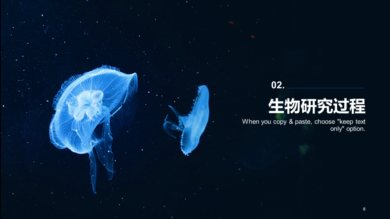 蓝色商务现代生物研究报告PPT案例