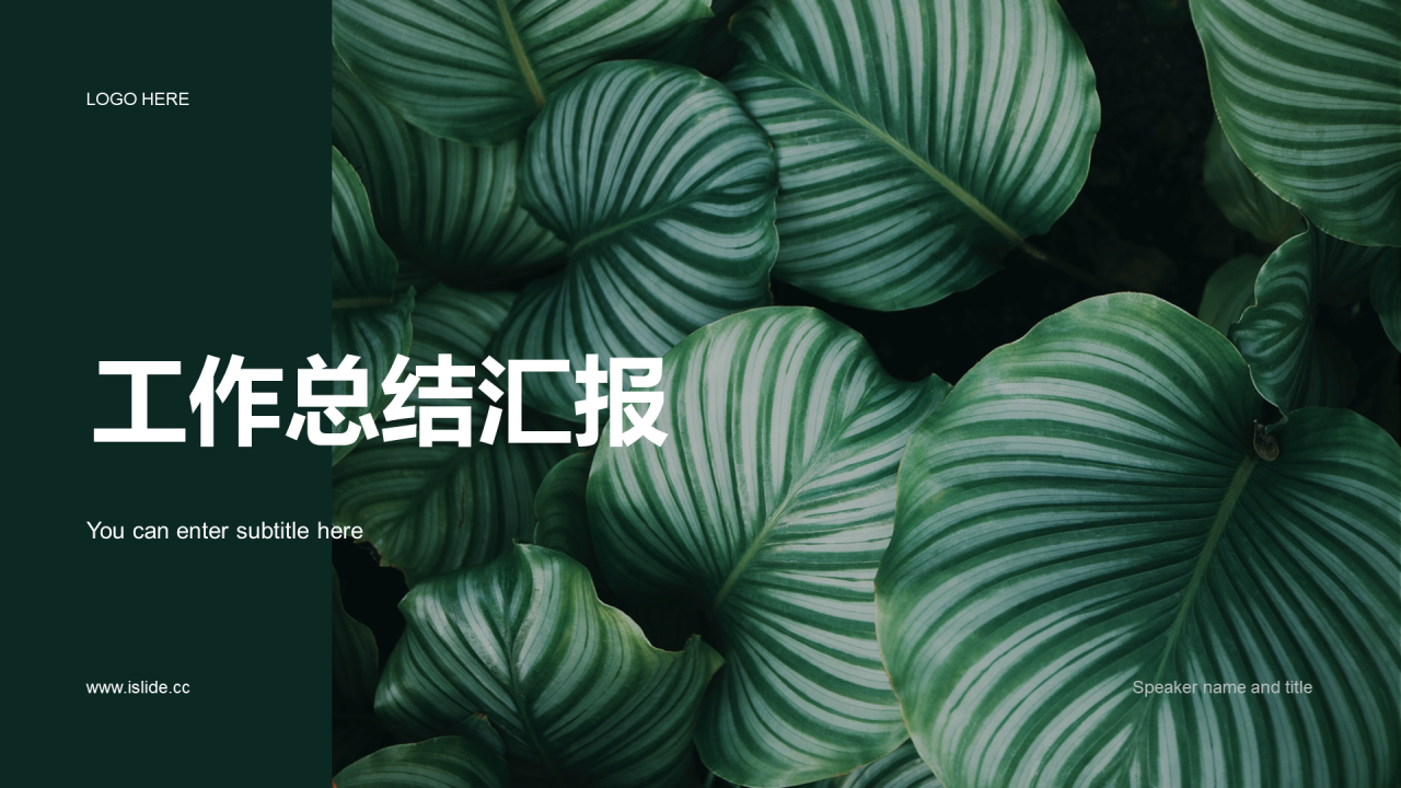 绿色简约植物工作总结PPT案例