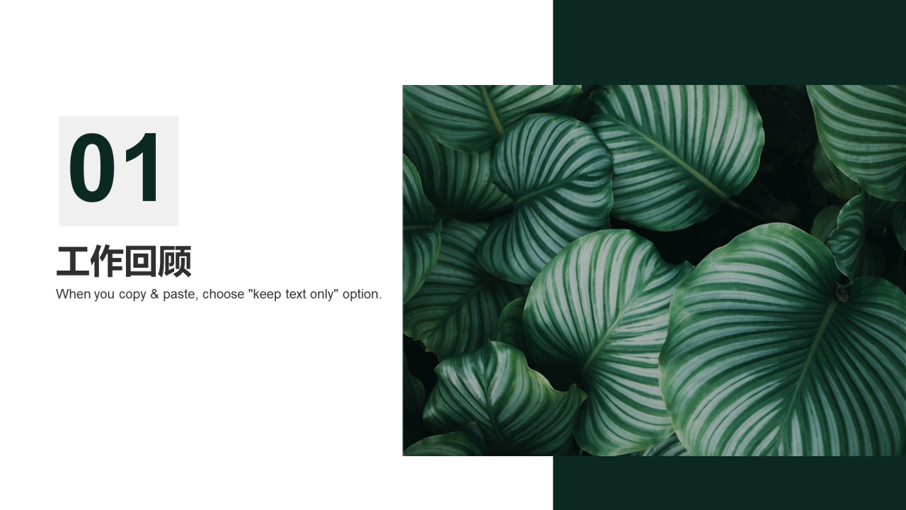 绿色简约植物工作总结PPT案例