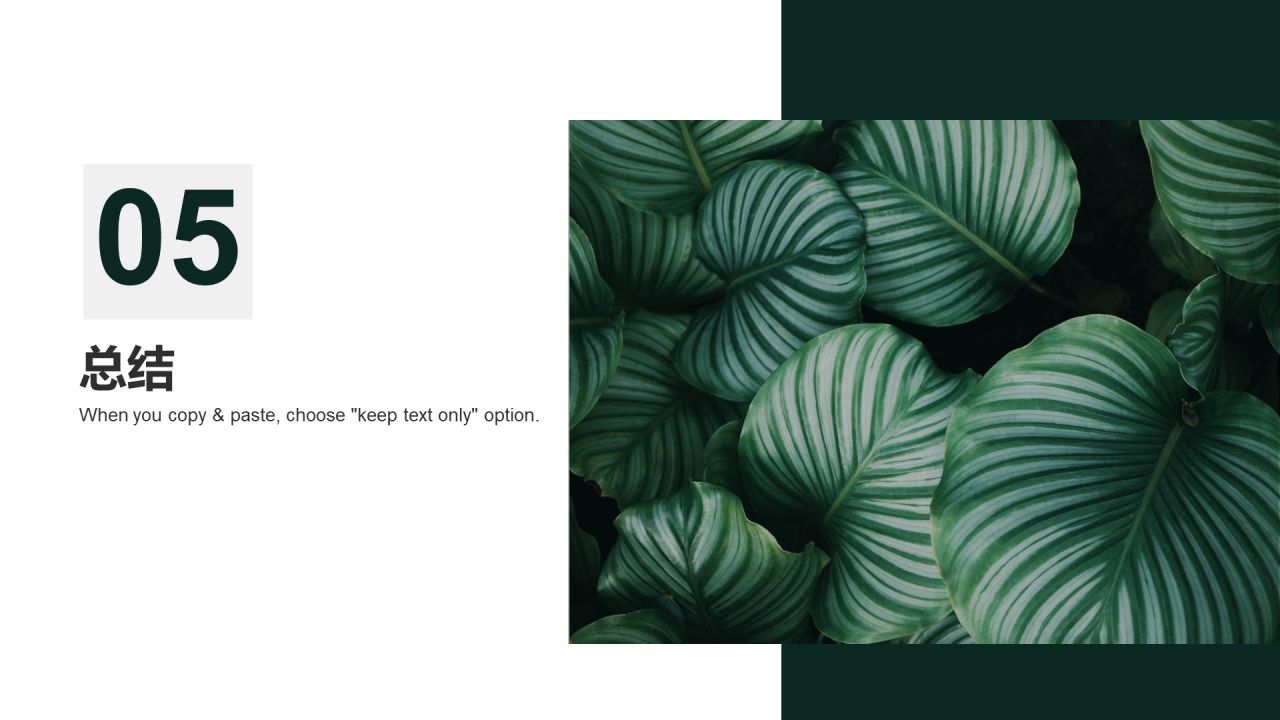 绿色简约植物工作总结PPT案例