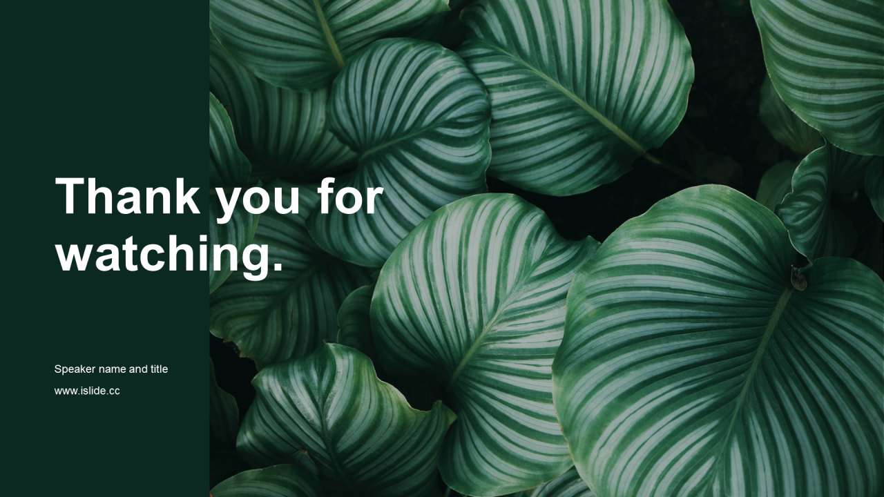 绿色简约植物工作总结PPT案例