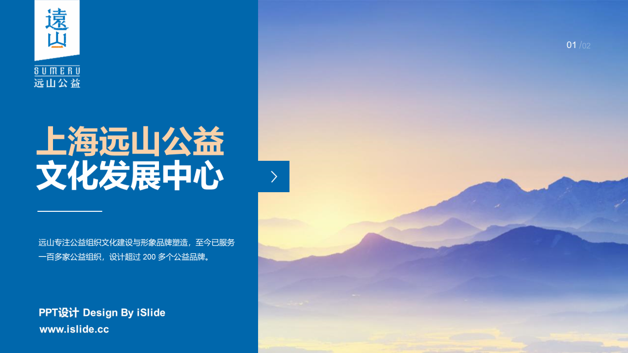远山公益案例