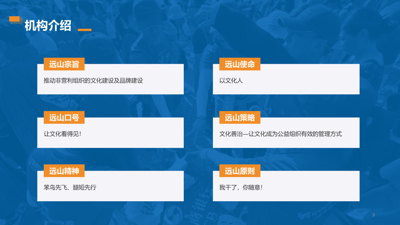 远山公益案例