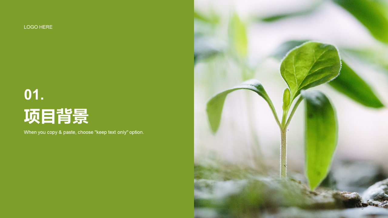 绿色商务现代环保公益培训课件