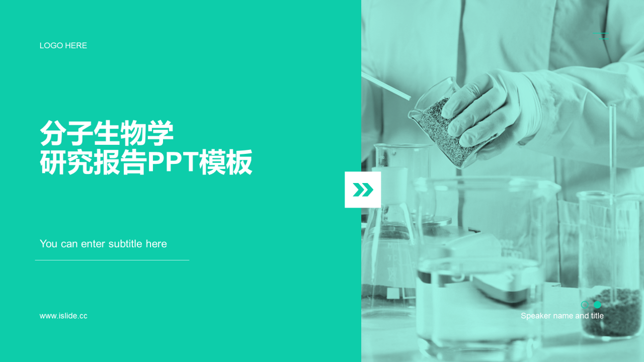 绿色商务现代分子生物学研究报告PPT