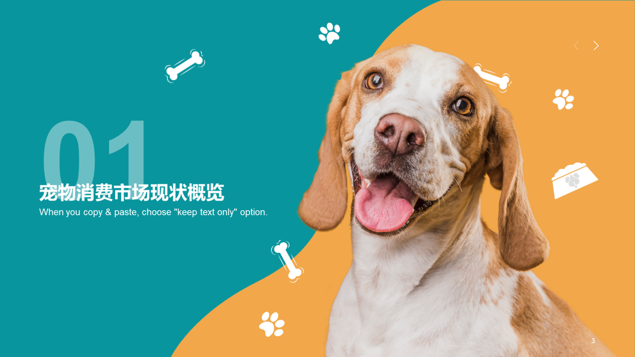 橘色简约2022年宠物消费调研报告