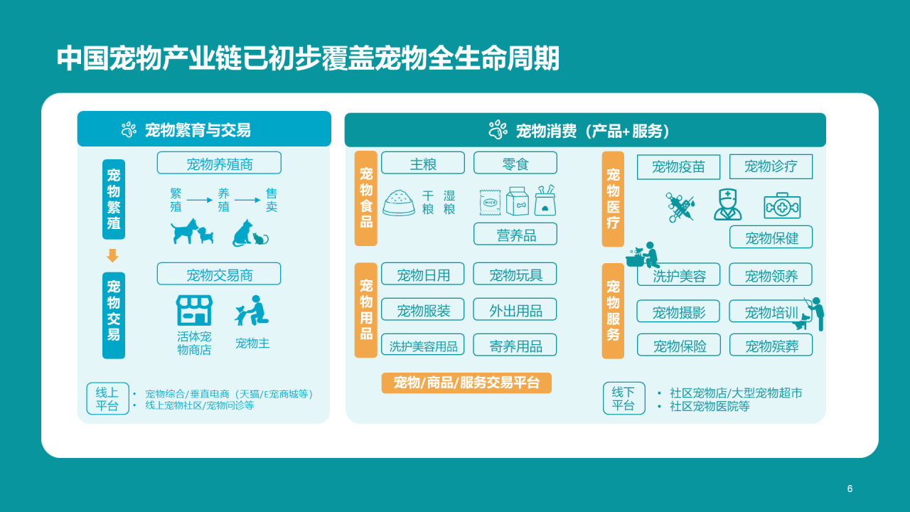 橘色简约2022年宠物消费调研报告
