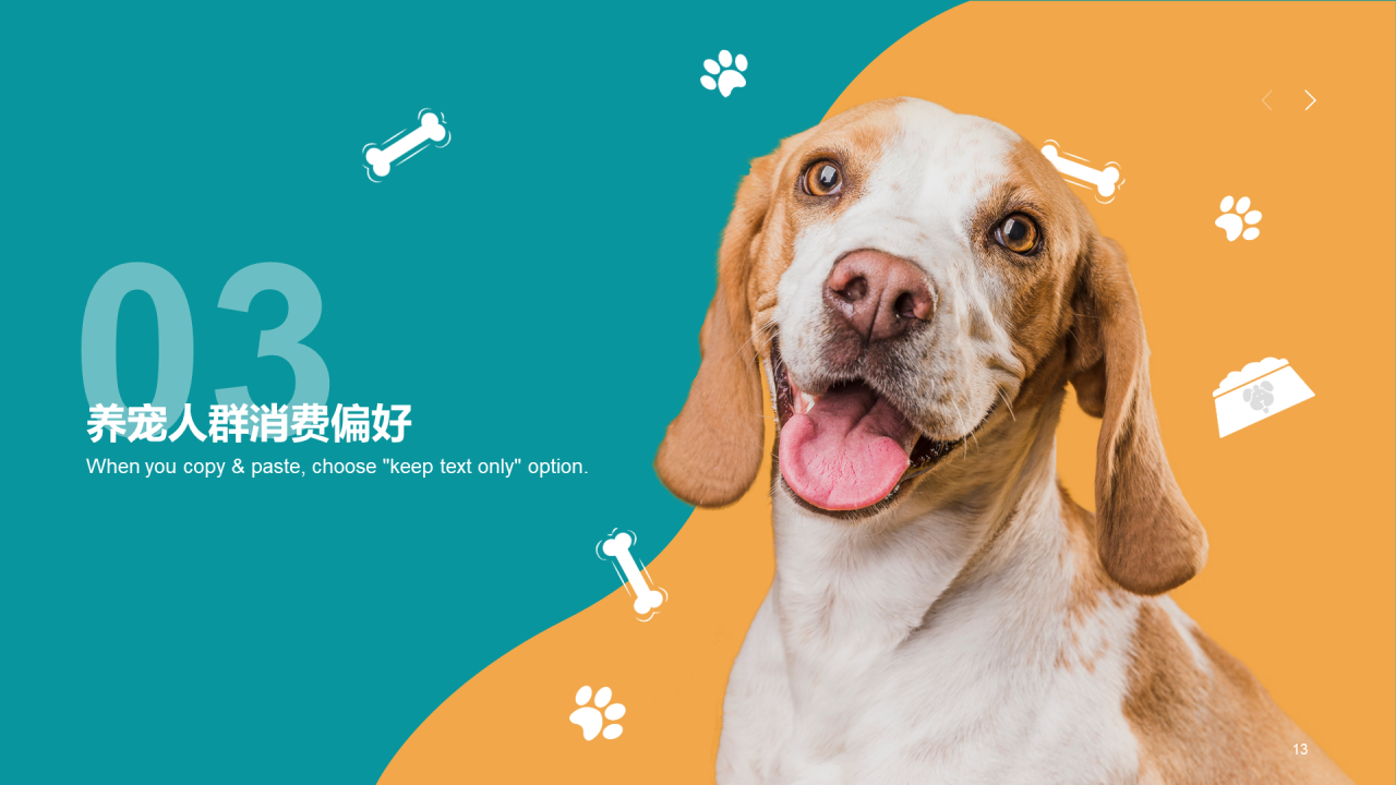 橘色简约2022年宠物消费调研报告