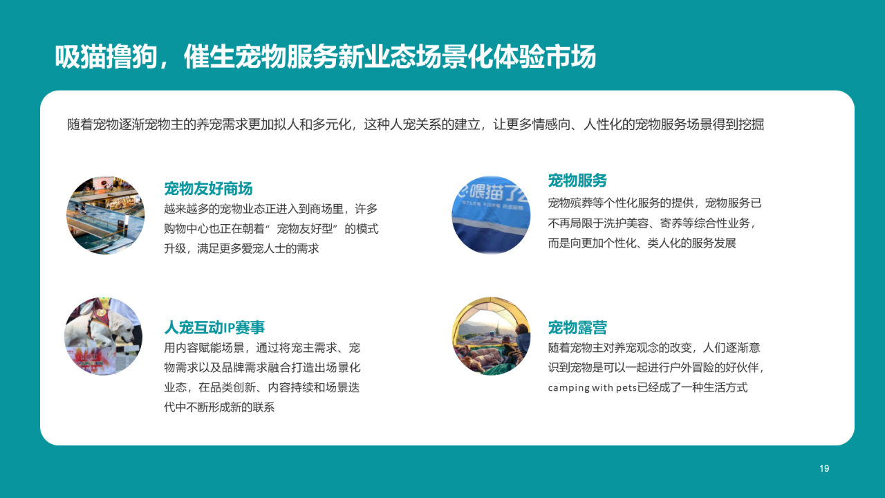 橘色简约2022年宠物消费调研报告