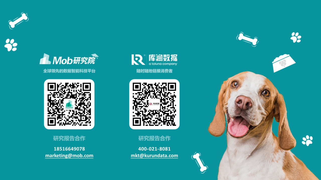 橘色简约2022年宠物消费调研报告