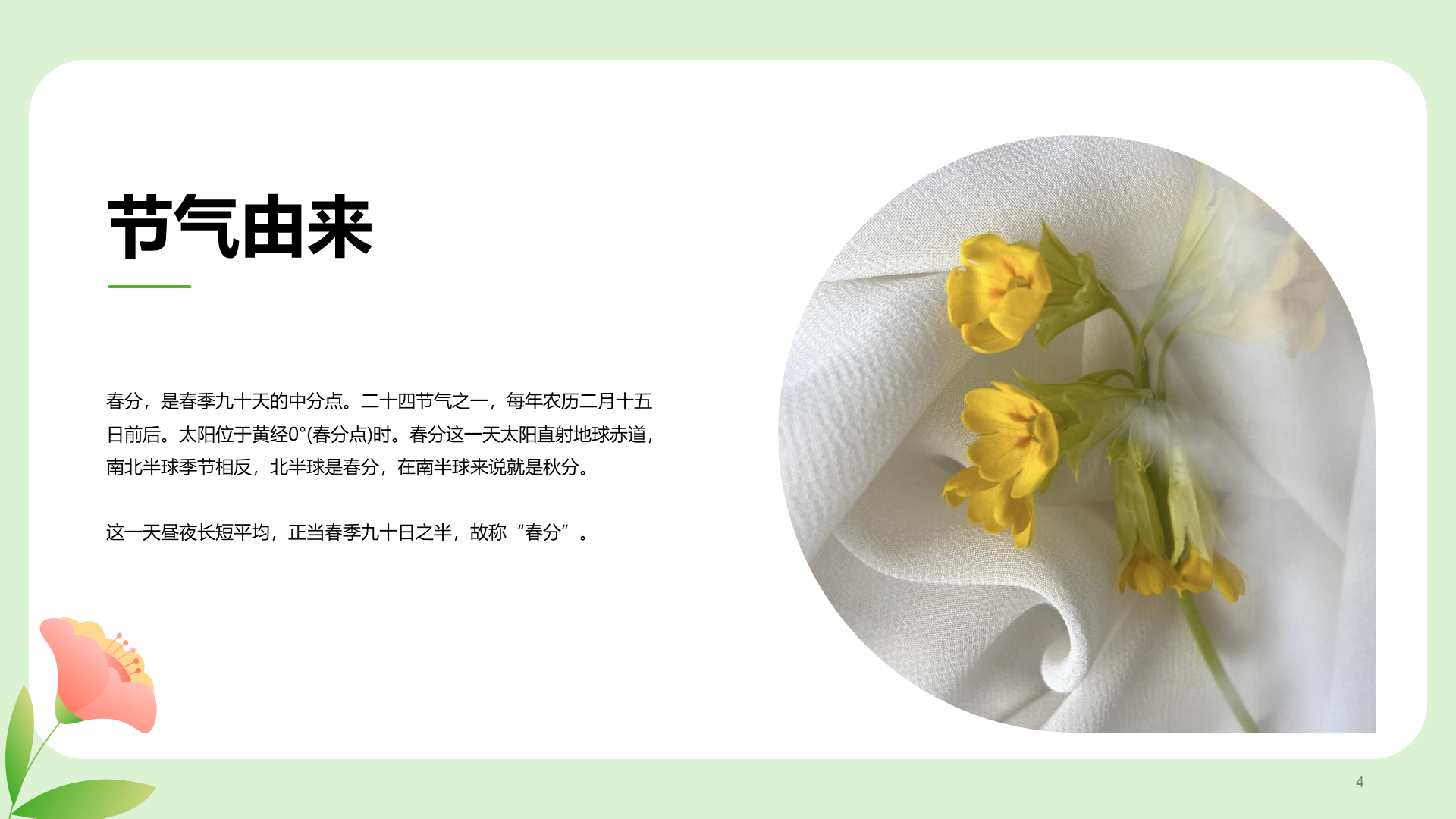 粉色插画春分节气科普介绍PPT