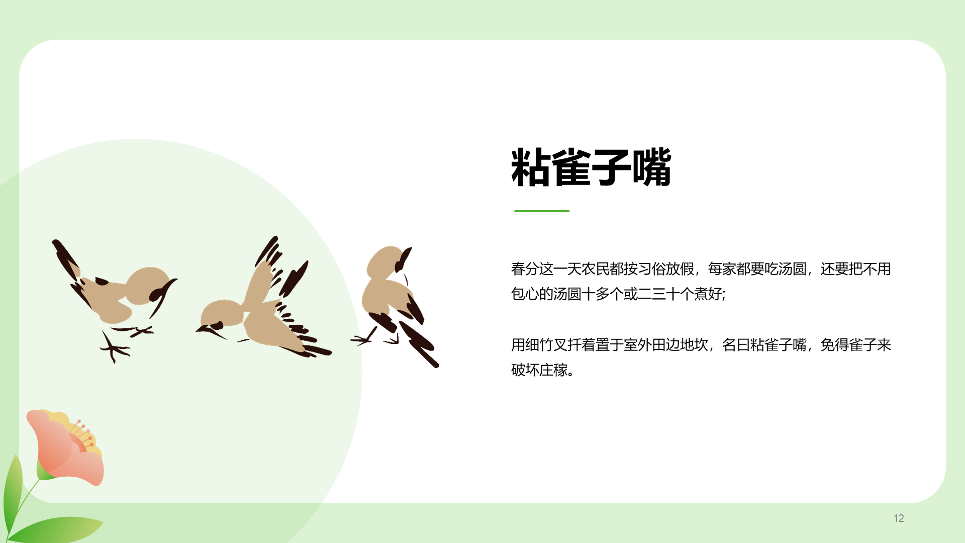 粉色插画春分节气科普介绍PPT