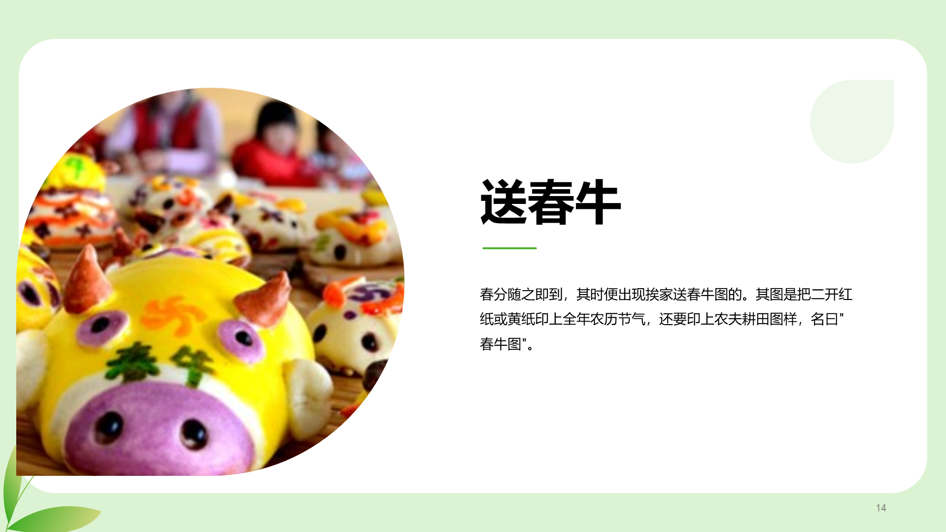 粉色插画春分节气科普介绍PPT